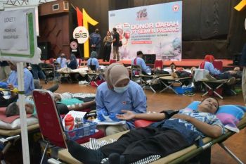 Sinergi kemanusiaan di HUT ke-116, donor darah Semen Padang berhasil kumpulkan 369 kantong