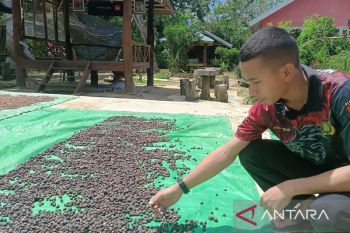 Dinas Perkebunan Kaltim latih petani tangani hasil perkebunan