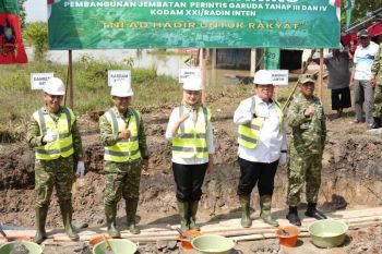 Wagub Lampung sebut Jembatan Perintis Garuda dukung konektivitas wilayah