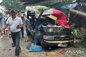 Seorang pengemudi mobil Carry tewas tertimpa pohon tumbang di Bandung