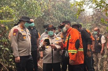 Kapolda Riau turun ke lahan terbakar, semangat kolaborasi lawan karhutla di Bengkalis