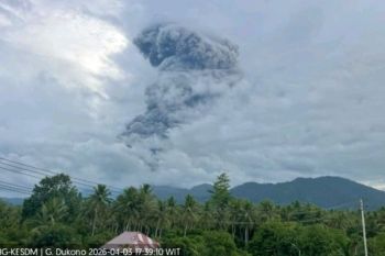 Aktivitas vulkanik meningkat, Gunung Dukono kembali semburkan abu vulkanik setinggi 4.000 meter