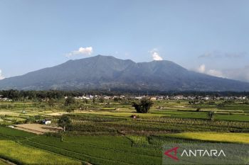 PGA laporkan Gunung Marapi di Sumbar erupsi 22 detik