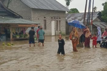 Hujan deras sebabkan 552 rumah terendam banjir di Sulteng
