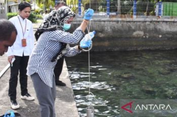 PPN Ambon uji kualitas air untuk jaga kesehatan perikanan