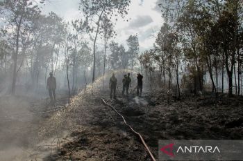 Jaga lahan gambut jelang El Nino kuat!