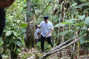 Lampung Selatan tanam bibit pohon di Gunung Rajabasa guna cegah bencana