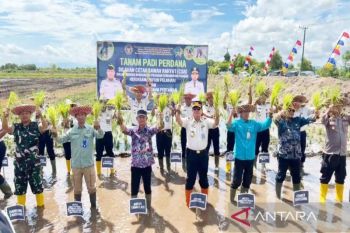Ditjenpas Kalsel cetak sawah rakyat wujudkan pembinaan pertanian&nbsp;