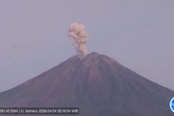 Indonesia's Mount Semeru erupts nine times, ash up 1 km