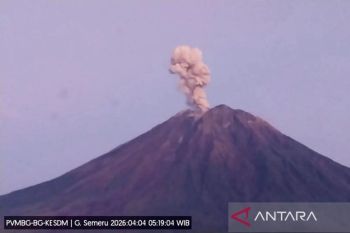 Semeru erupsi sembilan kali dengan tinggi letusan hingga 1.000 meter