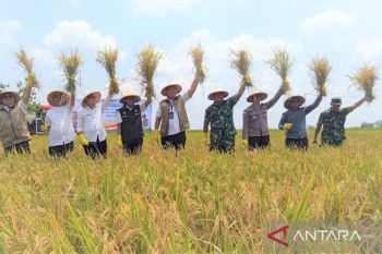 Dirut Bulog targetkan penyerapan 4 juta ton beras 2026 tercapai