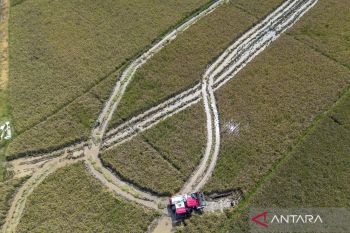 Sustainable agriculture to achieve food security: deputy minister