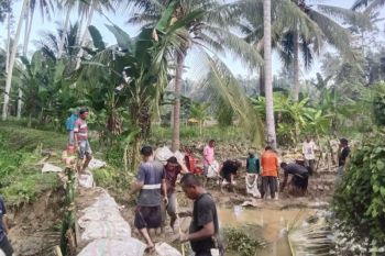 BPBD Parimo pasang tanggul darurat di Sungai Moutong pascabanjir