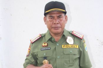 BKPH VII NTB perkuat kolaborasi dengan dunia usaha untuk perlindungan hutan