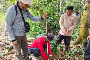 Kalsel kemarin dari  program Agroforestri hingga pemilahan sampah