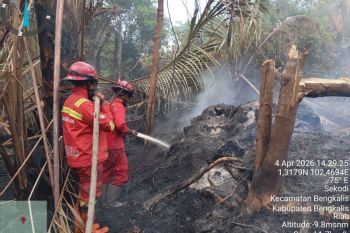 Manggala Agni berjuang padamkan karhutla lima desa di Bengkalis Riau