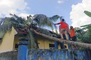 Angin puting beliung rusak empat sekolah di OKU Selatan, tak ada korban jiwa