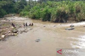Tim SAR Cianjur cari seorang anak hilang terbawa arus sungai