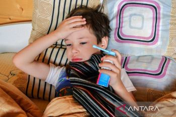 Paparan unsur alam ke dalam rumah dikaitkan dengan penurunan asma anak