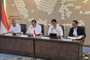 Indonesian govt caps airfare increases at 9--13 percent