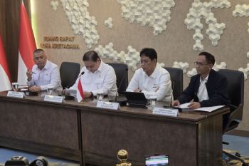 Pemerintah beri insentif PPN DTP 11 persen untuk tiket pesawat