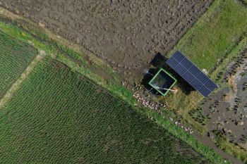 Antisipasi El Nino di sektor pertanian