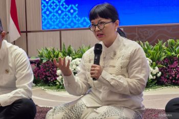 Stella ungkap penyebab energi panas bumi belum efektif di Indonesia