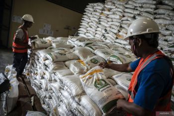 Di balik lonjakan stok beras dan masa depan ketahanan pangan