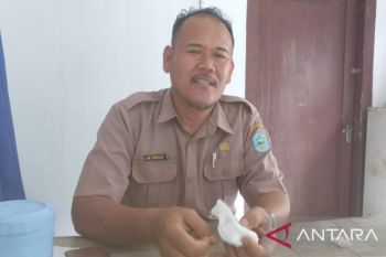 Pemkab Bangka terima alokasi pupuk subsidi 2.229,5 ton