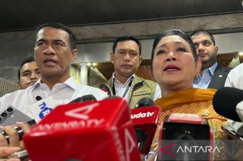 Dirut Bulog: Kapasitas gudang masih tersedia untuk stok beras-jagung