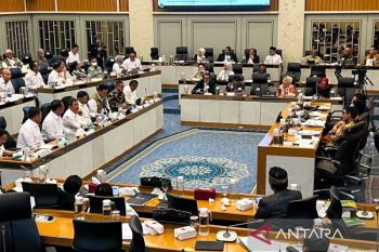 Pemerintah pastikan cadangan beras aman hingga 11 bulan ke depan