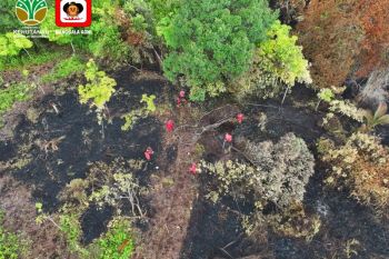 Empat regu Manggala Agni dikerahkan padamkan karhutla di Bengkalis, satu BKO Pekanbaru