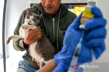 Waspada penularan rabies! DKPP Kota Bandung gelar vaksinasi gratis Bangsawan di Dunguscariang