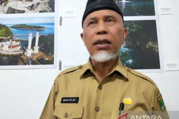 Pecinta lingkungan desak pemimpin G20 cela "serangan kejam" Jepang terhadap ikan paus