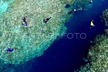 Indonesia perkuat kolaborasi global dalam perlindungan laut lepas