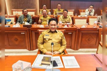 Wagub Kalteng ikuti RDP bersama Komisi I DPR RI