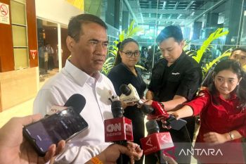 Mentan segera panggil importir kedelai jaga stabilitas harga