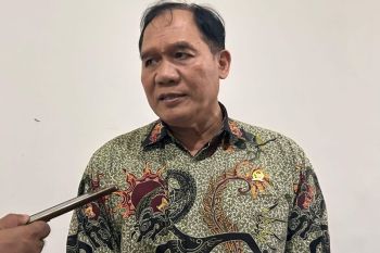 Harga avtur naik, anggota DPR sebut tiket pesawat tak perlu ikut naik