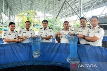 Rutan Palangka Raya panen 1,2 ton lele hasil Program Ketapang Rupa