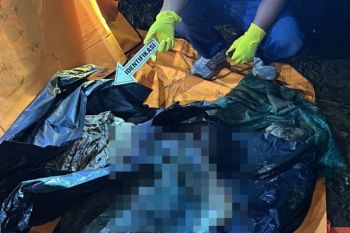 Polisi ungkap pemuda asal Lahat nekat mutilasi ibu kandung demi judi online