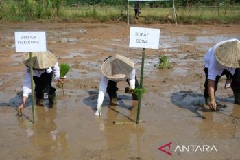 Pemkab Gowa optimalkan program cetak sawah rakyat