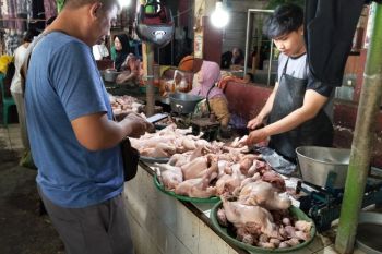 Harga kebutuhan pokok di Mataram mulai stabil