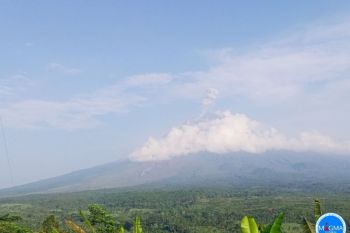 Gunung Semeru dilaporkan kembali erupsi pada pagi ini
