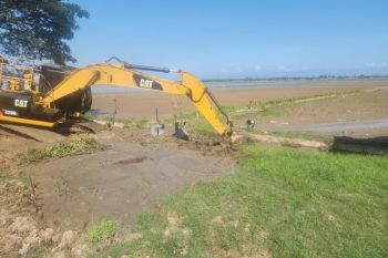Kementan rehabilitasi 1.093 hektare sawah dampak bencana Aceh Utara