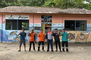 Pertamina manfaatkan teknologi untuk konservasi penyu sisik