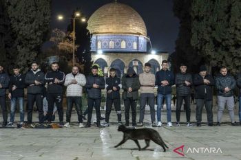 Masjid Al-Aqsa dibuka kembali untuk ibadah setelah 41 hari ditutup