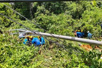 Cuaca ekstrem picu tiang listrik roboh di Toboali, PLN lakukan pemulihan cepat