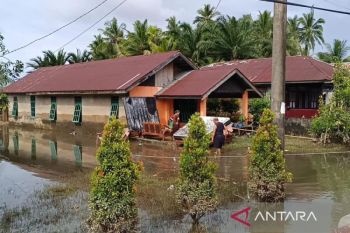 Pemkot Bengkulu salurkan nasi bungkus pada korban terdampak banjir