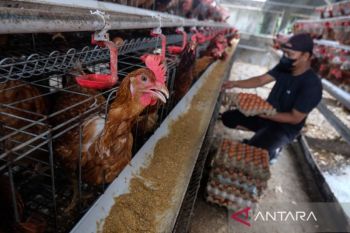 IHPB Maret 2026 naik 0,63 persen