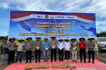 Panen Raya Jagung di Kampar, Sinergi Polres Kampar dan Dunia Usaha Perkuat Swasembada Pangan